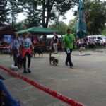 40584397_2032196213466490_2289761294447804416_o