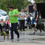 40589373_2032032180149560_3609445315322576896_o