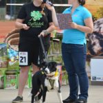 40600245_2032029976816447_4449926052432576512_n