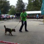 40674439_2032196000133178_6149942393874415616_o